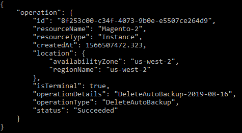 Risultato dell'operazione di eliminazione della snapshot automatica.