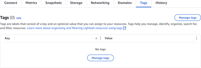 Scheda Tag nella console Lightsail.