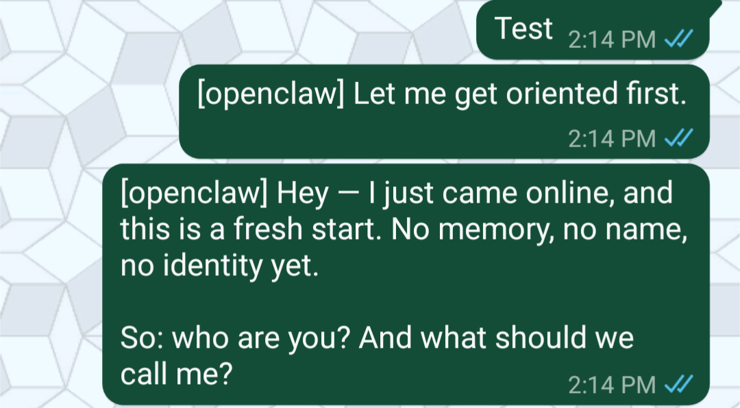 WhatsApp è abbinato alla tua istanza OpenClaw