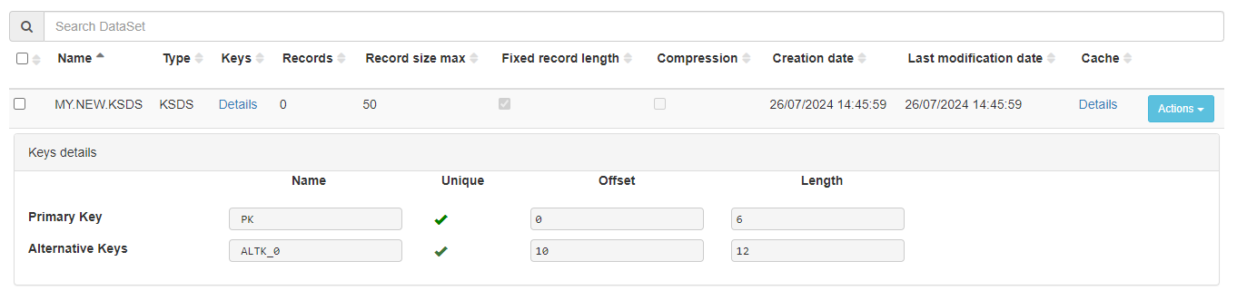Data set details showing primary and alternative keys with their properties.