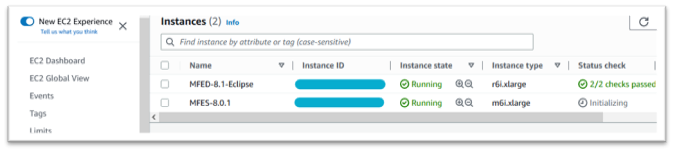 Elenco delle istanze con stato.