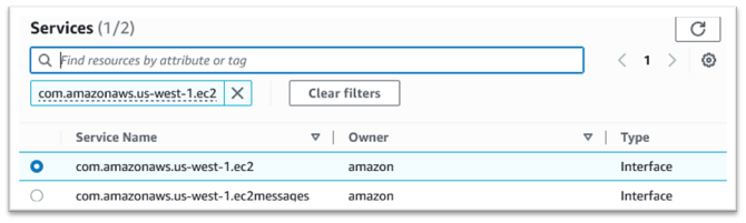 Servizi con servizio di interfaccia Amazon EC2 selezionato.