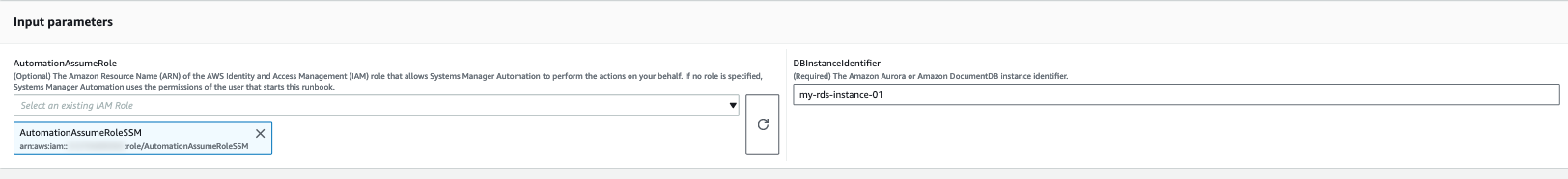 Input parameters form with AutomationAssumeRole and DBInstanceIdentifier fields.