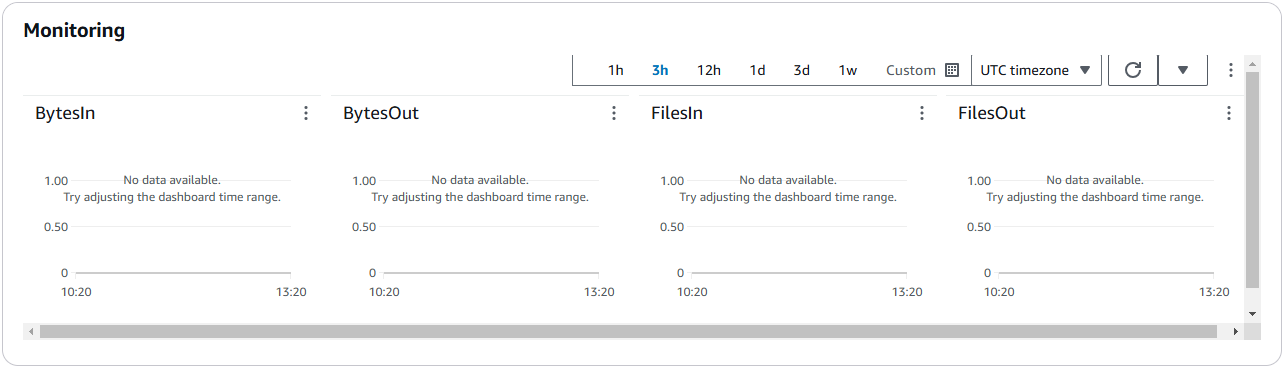 Schermata dei dettagli del server che mostra la sezione Tag.