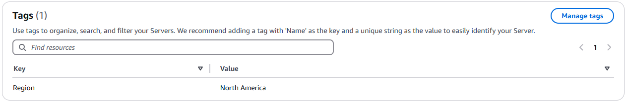 Schermata dei dettagli del server che mostra la sezione Tag.