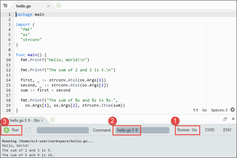 IDE での Go AWS Cloud9 コードの実行の出力