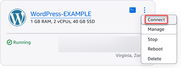 インスタンスの接続。
