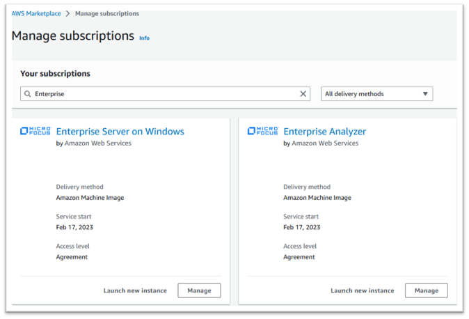 Enterprise Server と Enterprise Analyzer を起動できる状態でサブスクリプションを管理します。