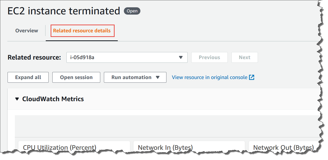 OpsItem の関連リソースの詳細タブを表示する