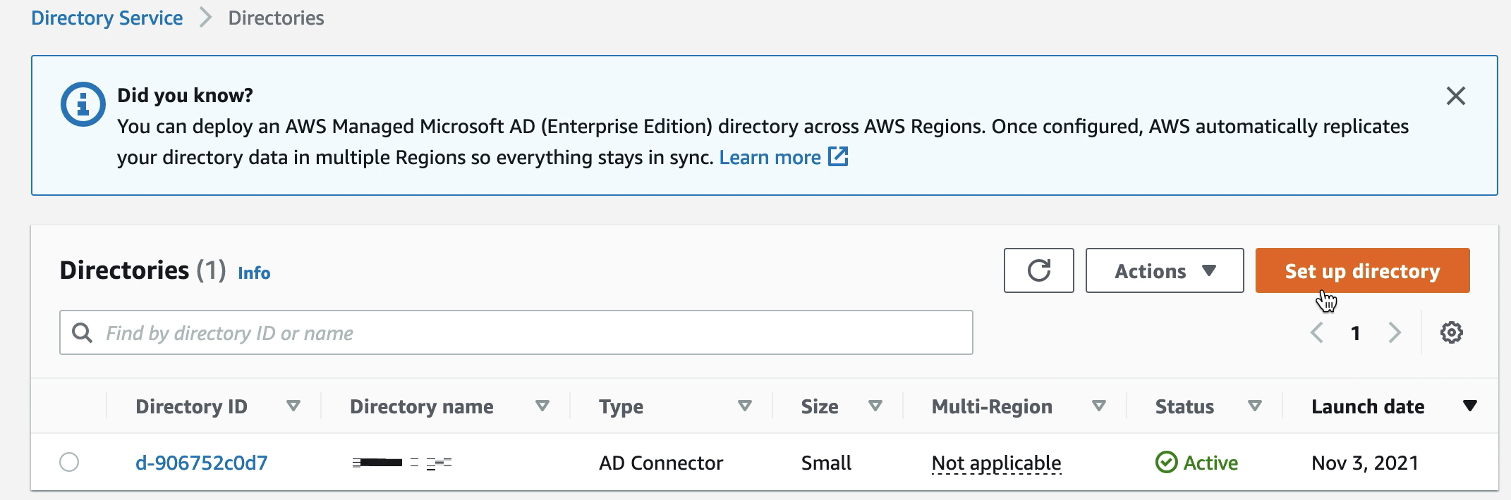 必要に応じて、ステータスが Active のディレクトリが 1 つ表示される Directory Services 画面。