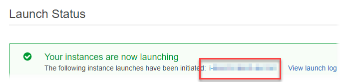 Green checkmark indicating successful instance launch with partially obscured instance ID.