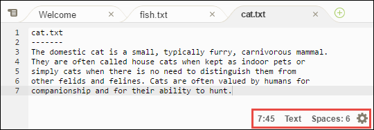 AWS Cloud9 IDE의 상태 표시줄