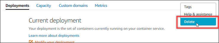 Lightsail 콘솔에서 컨테이너 서비스용 탭 삭제