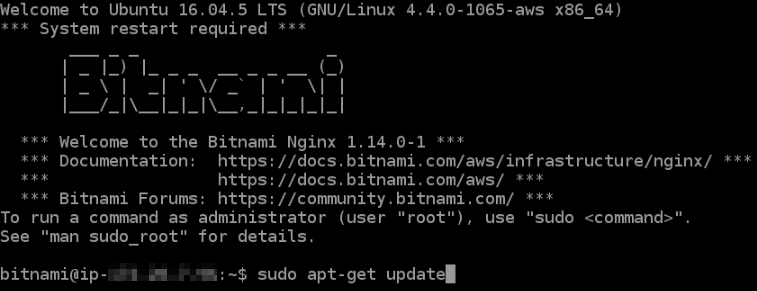인스턴스의 패키지 업데이트