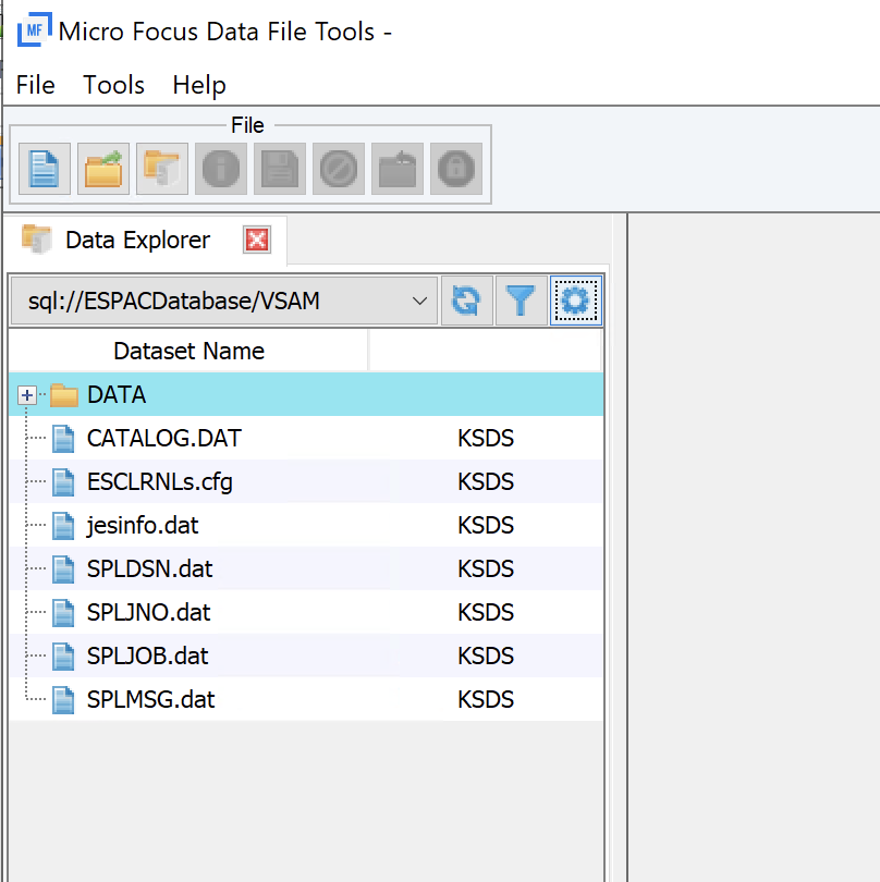 모든 데이터 세트를 표시하는 Data Explorer 섹션이 있는 Micro Focus 데이터 파일 도구 창.
