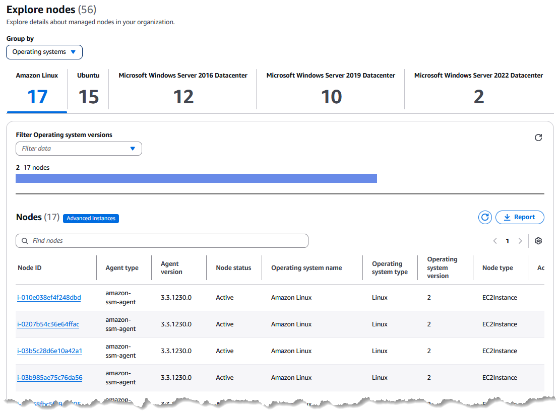 OS 탭의 관리형 노드 목록