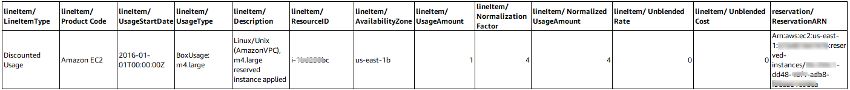 Discounted Usage line item showing Reserved Instance benefit applied to matching instance usage.
