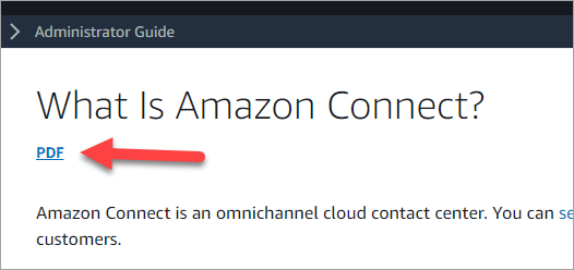 Uma página na documentação do Amazon Connect, o link do PDF abaixo do título da página.
