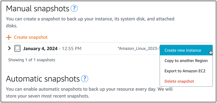 O menu Gerenciar snapshots com o cursor sobre Criar nova instância.