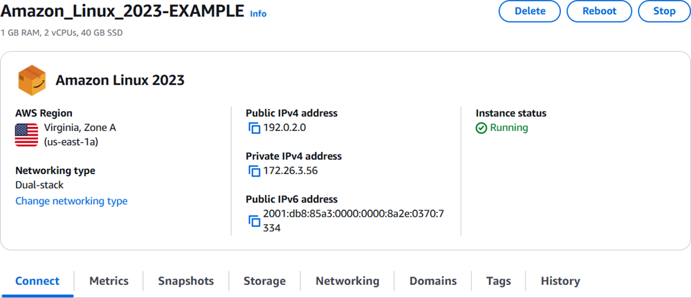 Página de gerenciamento de instâncias no console do Lightsail