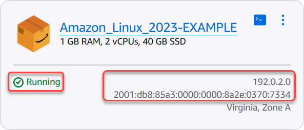 O status e endereço IP público de uma instância.