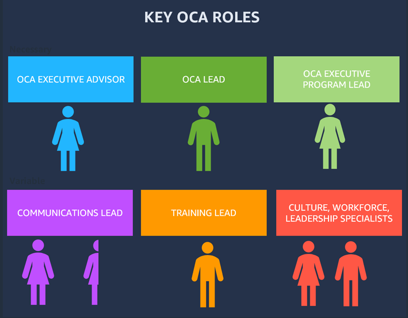 Funções principais em um OCA projeto.