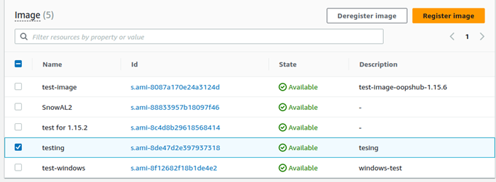 Aba de imagem mostrando a imagem escolhida e o botão Cancelar registro da imagem no canto superior direito.