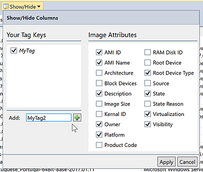 Dialog box for customizing column display with tag keys and image attributes options.