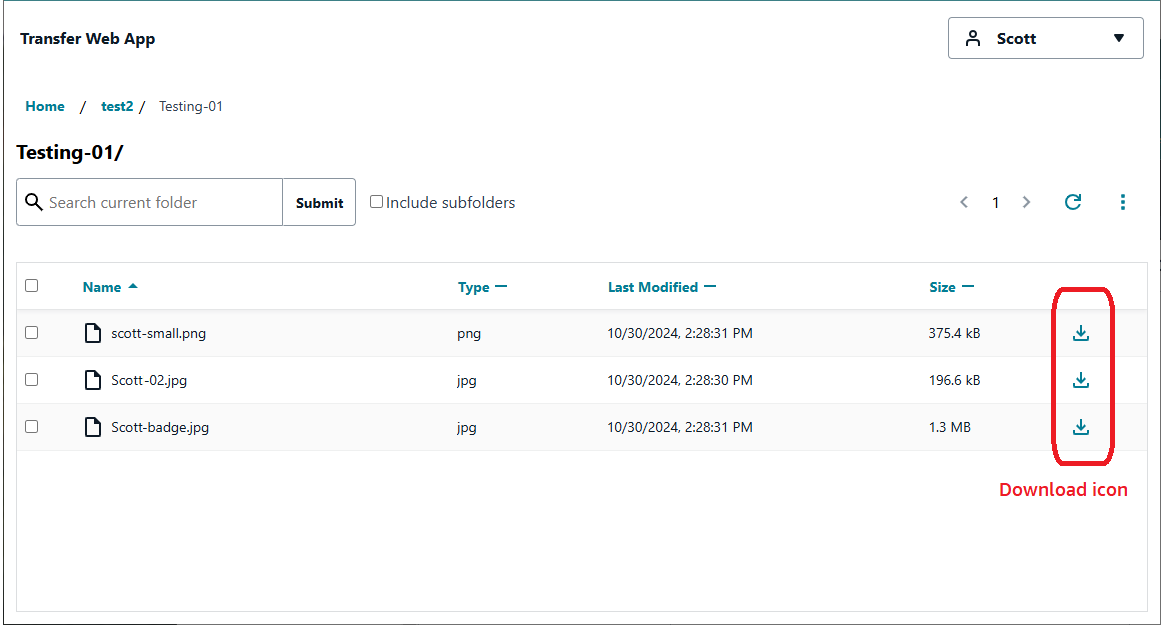 Tela mostrando os arquivos e seus ícones de download correspondentes.