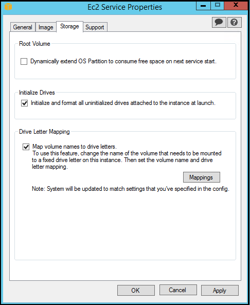 EC2 Service Properties（EC2 服务属性）中的 Storage（存储）选项卡。