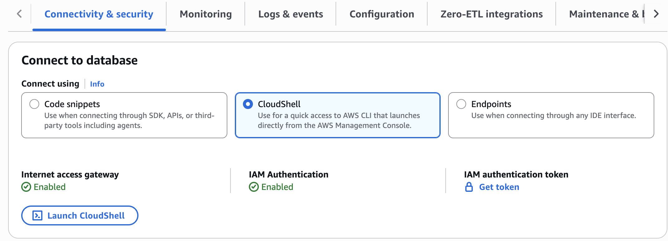 “连接和安全性”选项卡中的 CloudShell 启动按钮。