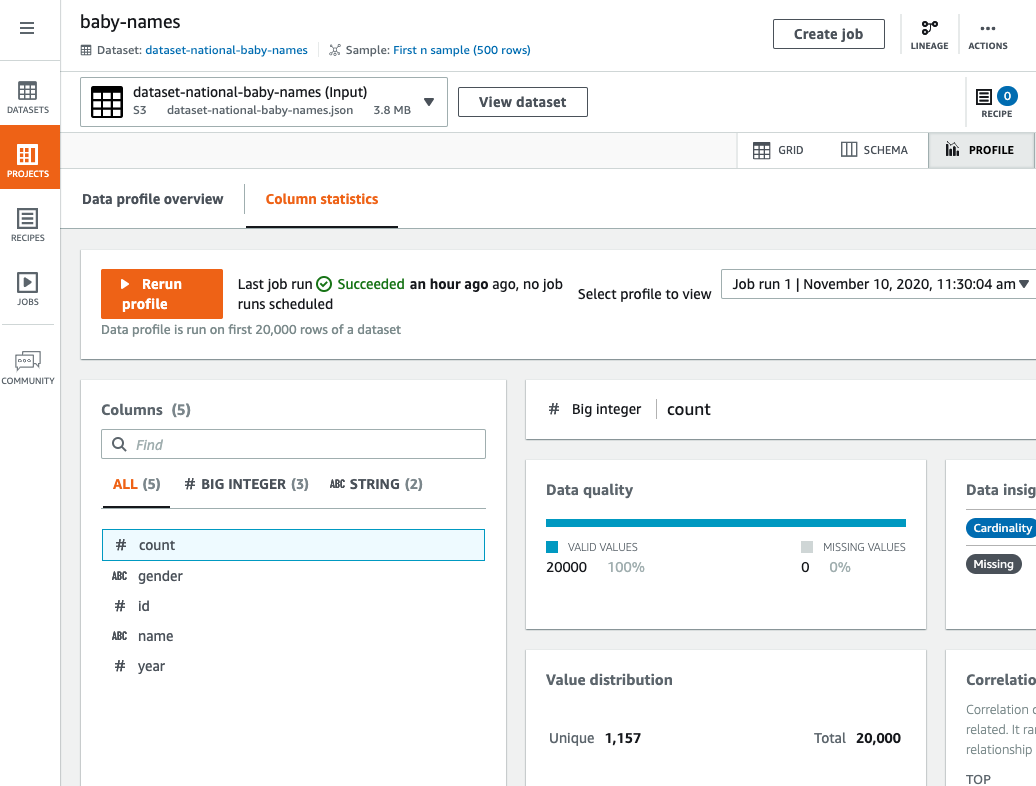 Column statistics tab showing data profile overview, column types, and data quality metrics.
