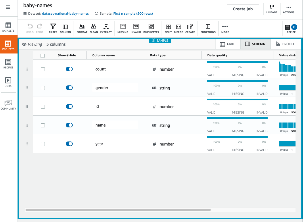 Schema view showing 5 columns with data types, quality, and value distribution for baby names dataset.