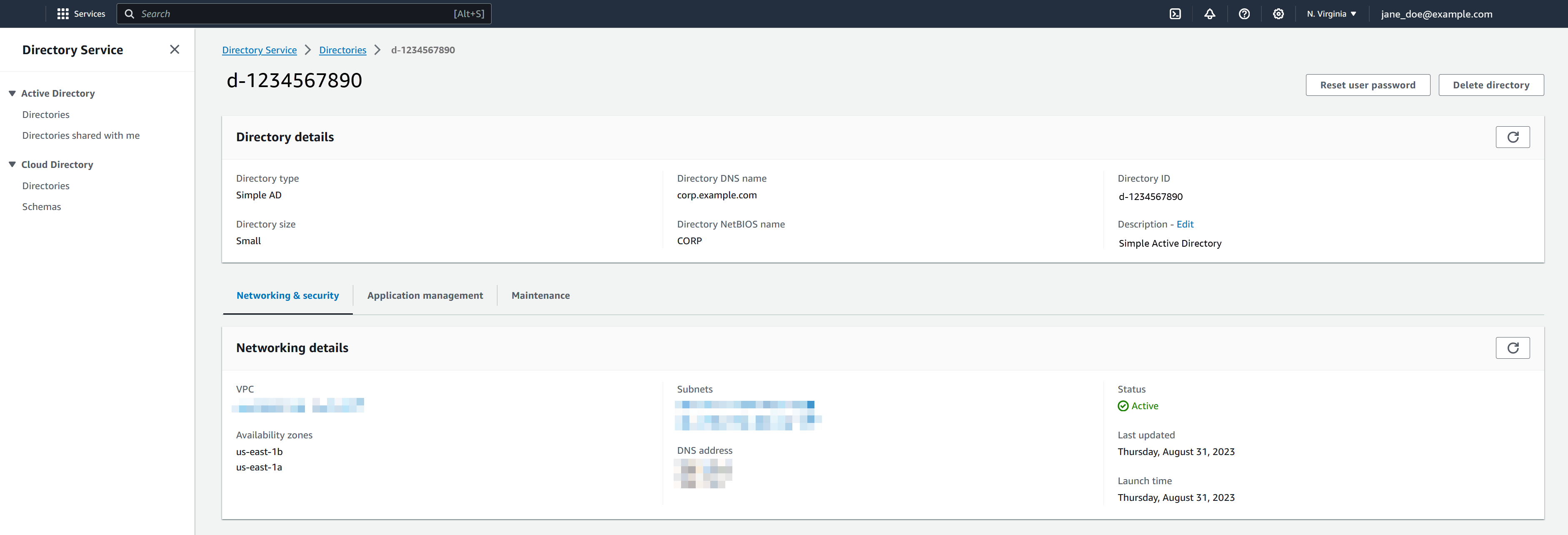 Simple AD 目录详细信息页面。
