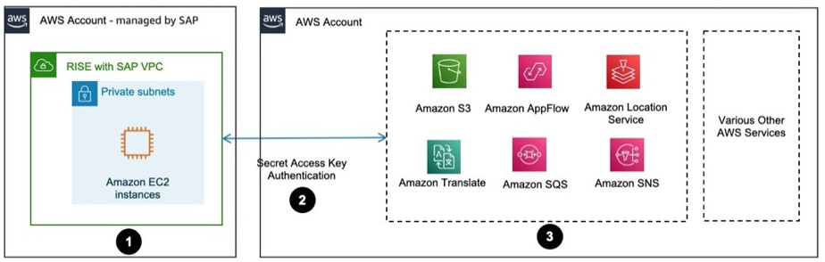 SAP ABAP SDK 的数据流