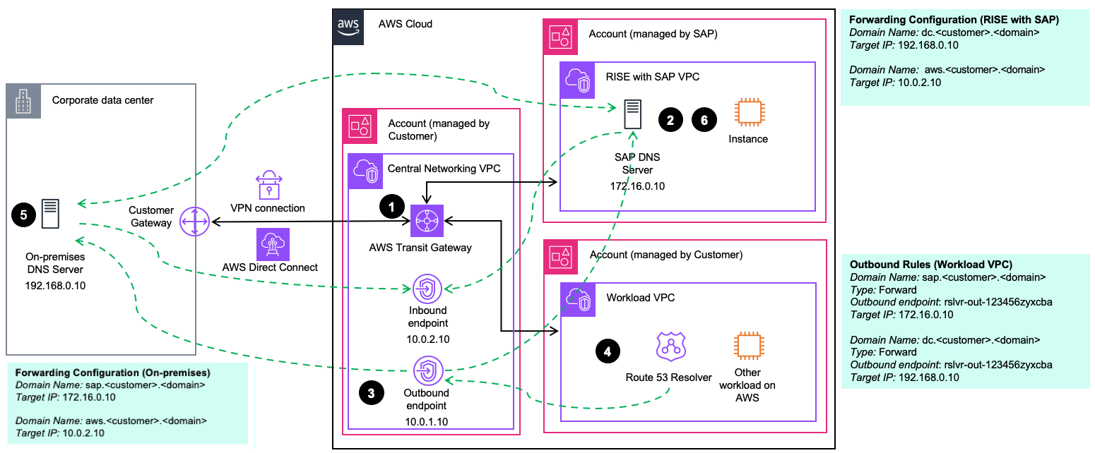 RISE 中的 DNS 转发
