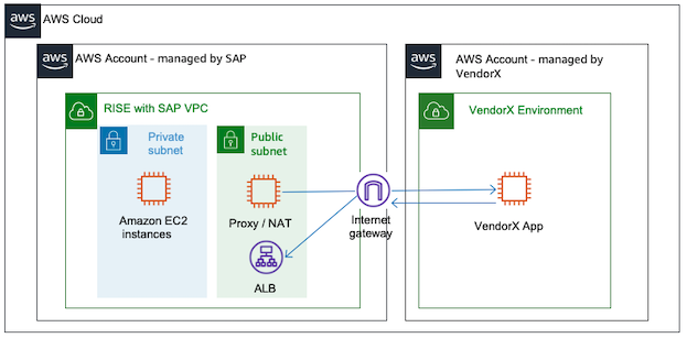 从 RISE 连接到云解决方案或 SaaS