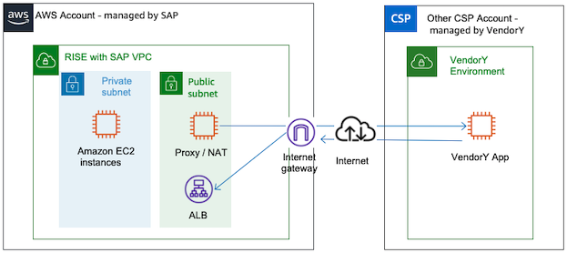 从 RISE 连接到云解决方案或 SaaS