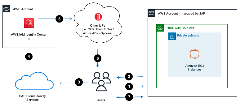 SAP Cloud Identity Services 与 IAM Identity Center