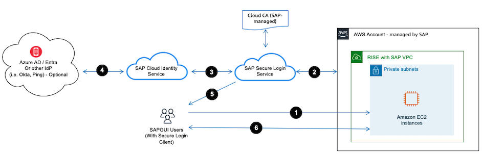 适用于 SAPGUI 前端的 SSO