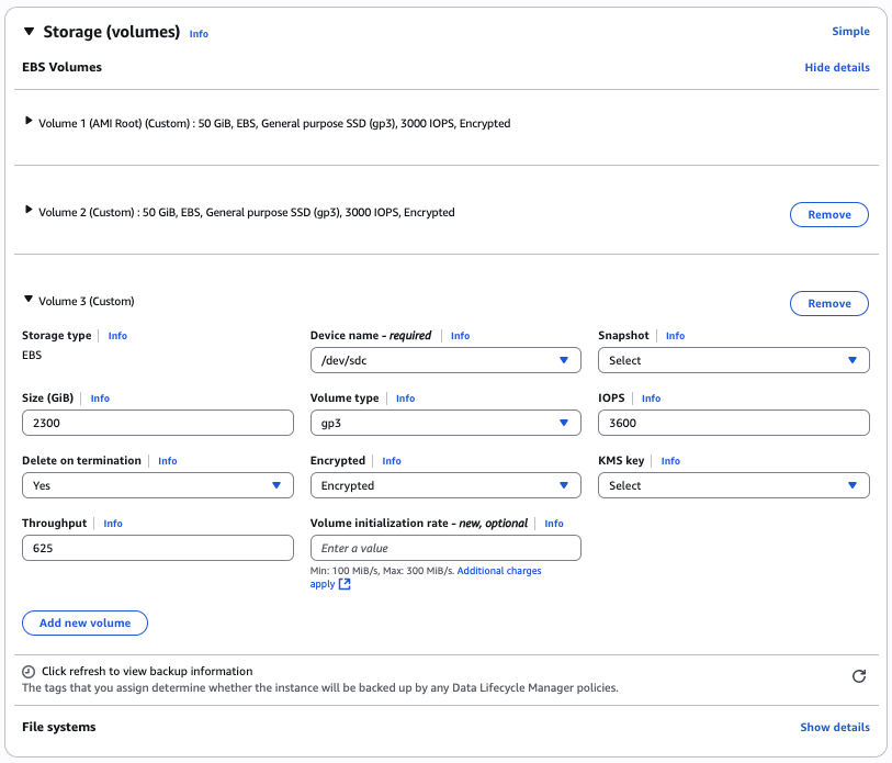 显示存储配置的 EC2 控制台图片