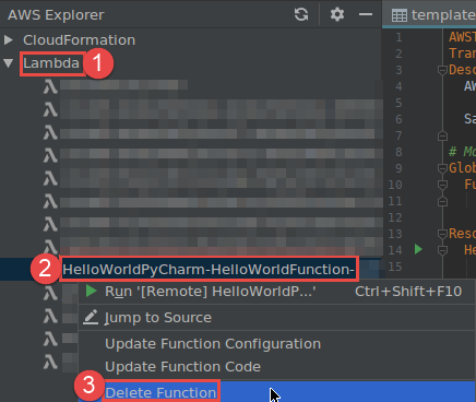 选择“Delete Function (删除函数)”命令