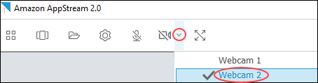 WorkSpaces Applications toolbar with webcam options showing Webcam 1 and Webcam 2 selections.
