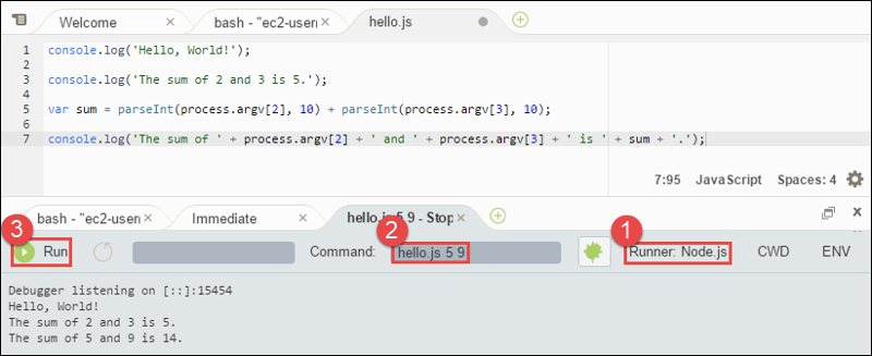 在 IDE 中執行程式碼之後的 Node.js AWS Cloud9 輸出