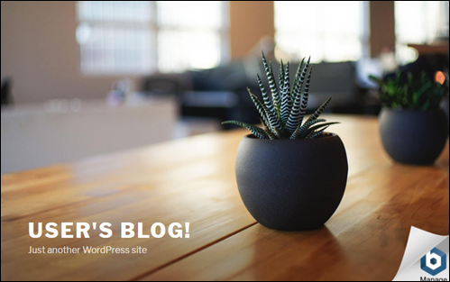 WordPress 的 Bitnami 應用程式首頁。