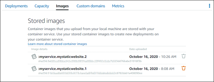 Lightsail 主控台的已存放映像頁面