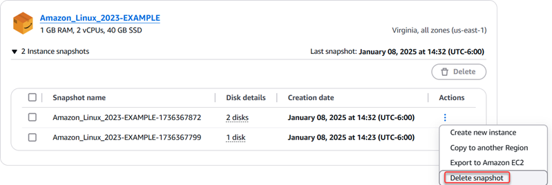 在 Lightsail 主控台中刪除快照。