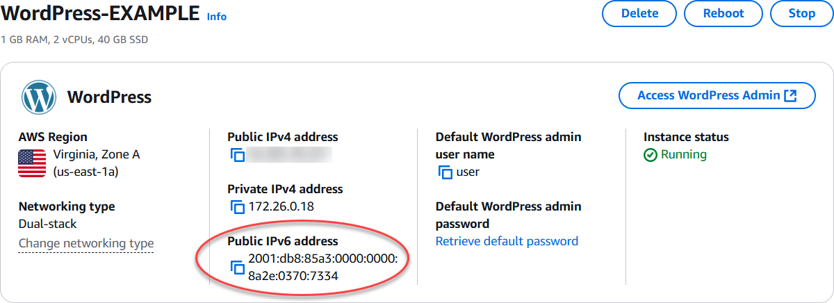 執行個體管理頁面標頭區域中的執行個體 IPv6 地址。