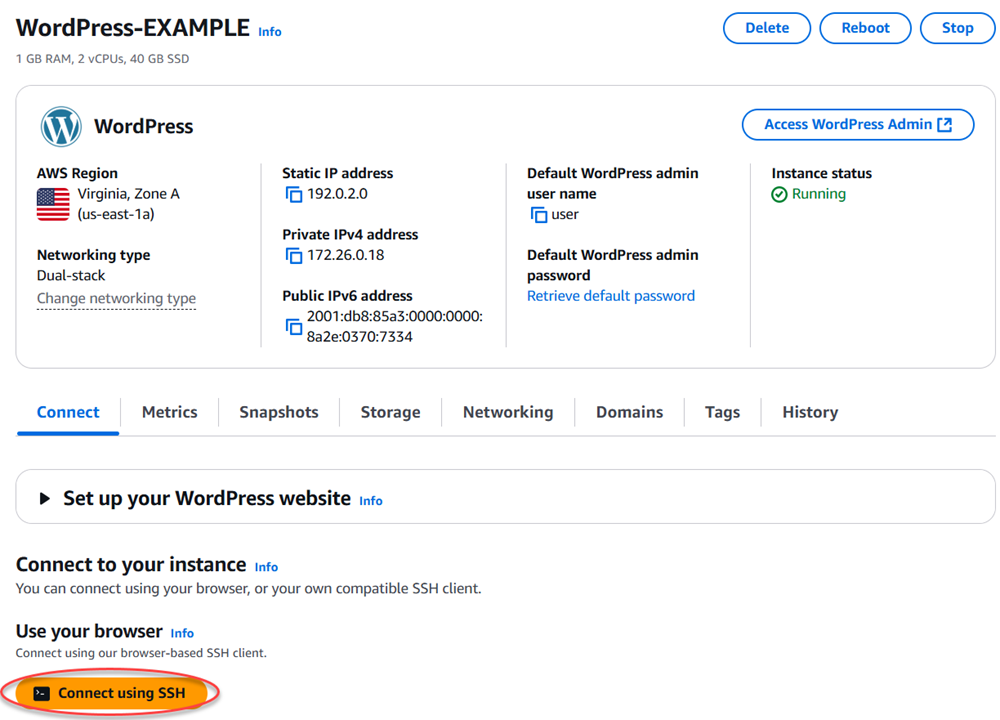 執行個體管理頁面的 Connect 索引標籤