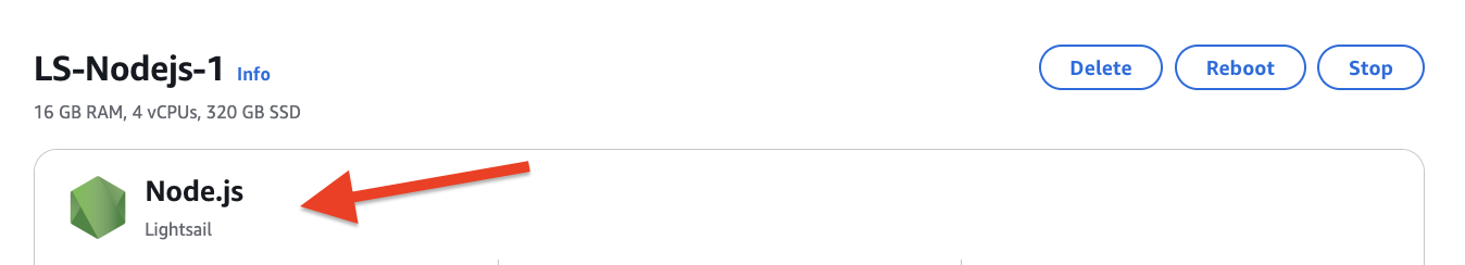 執行個體管理頁面上的 Node.js 藍圖廠商